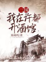陈扬司马懿