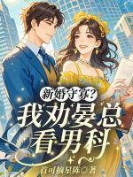 沈晴晏北