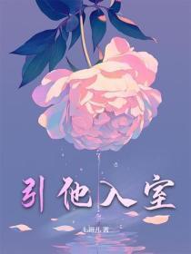 引他入室