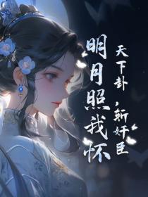 天下卦,斩奸臣,明月照我怀