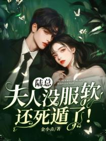 陆总,夫人没服软还死遁了!